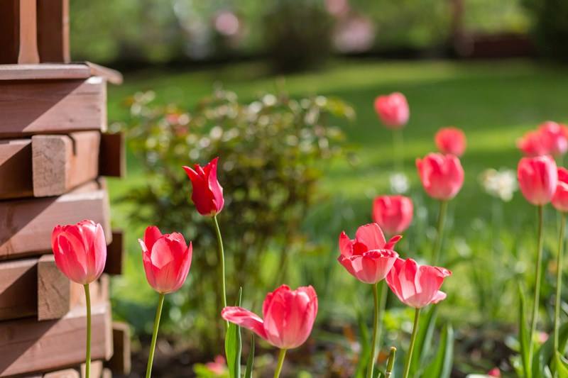 فيلا زاكوباني غرف الإقامة جبال جبال تاترا الاسترخاء في بولندا